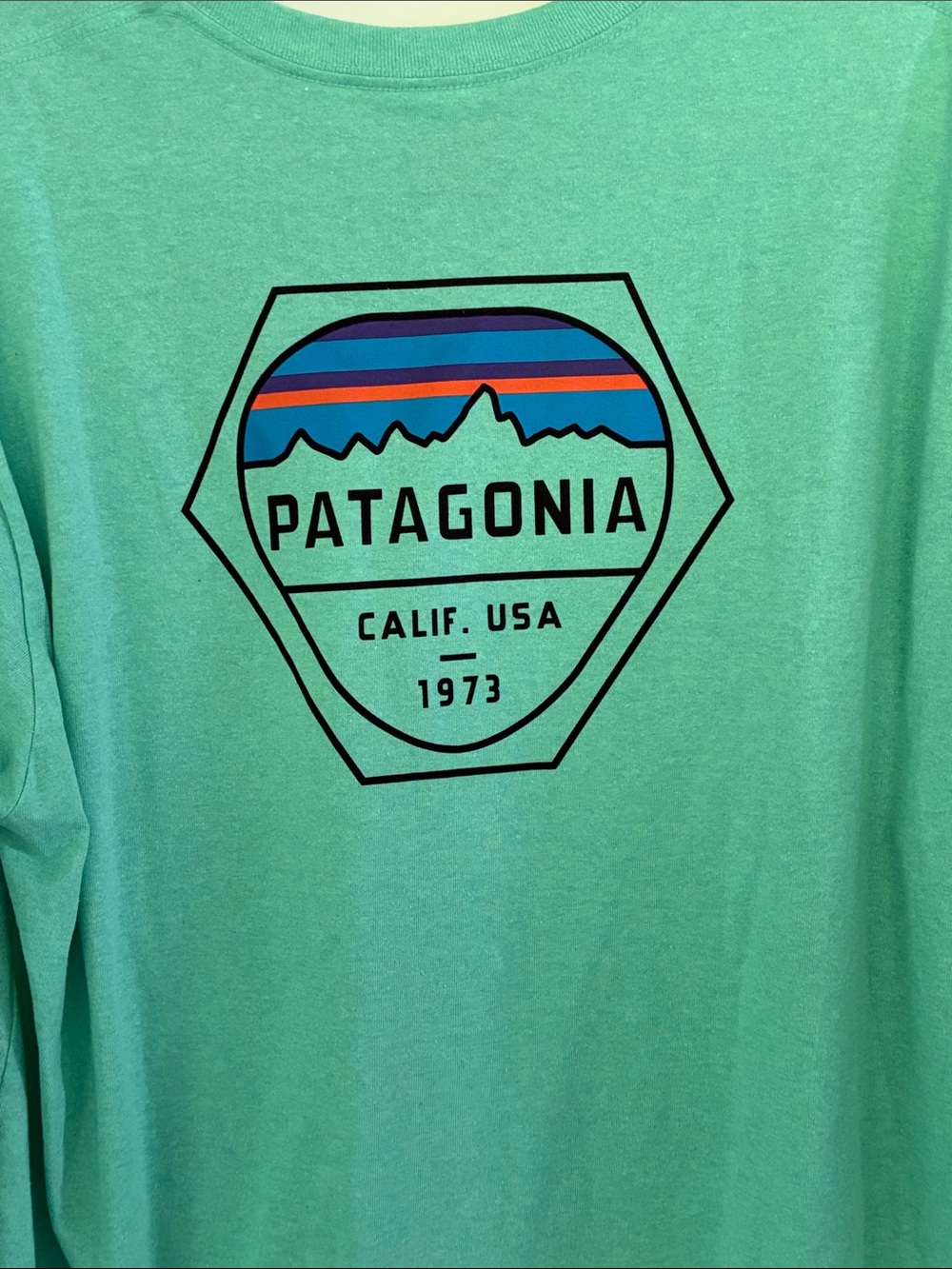 Patagonia Long-Sleeve Logo Tee in Seafoam Green with Blue & Orange Accents